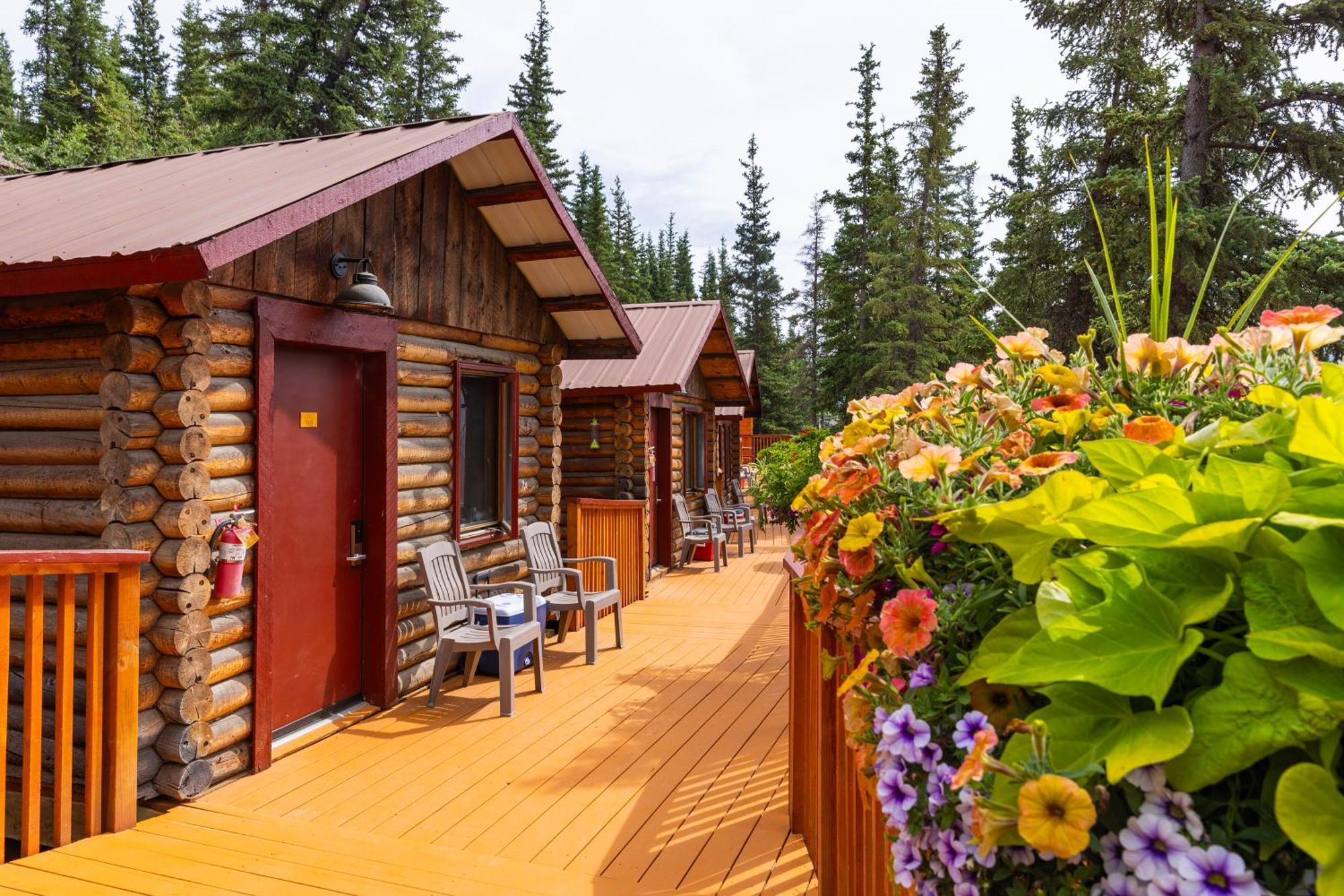 Denali Crow'S Nest Cabins Denali Park Esterno foto