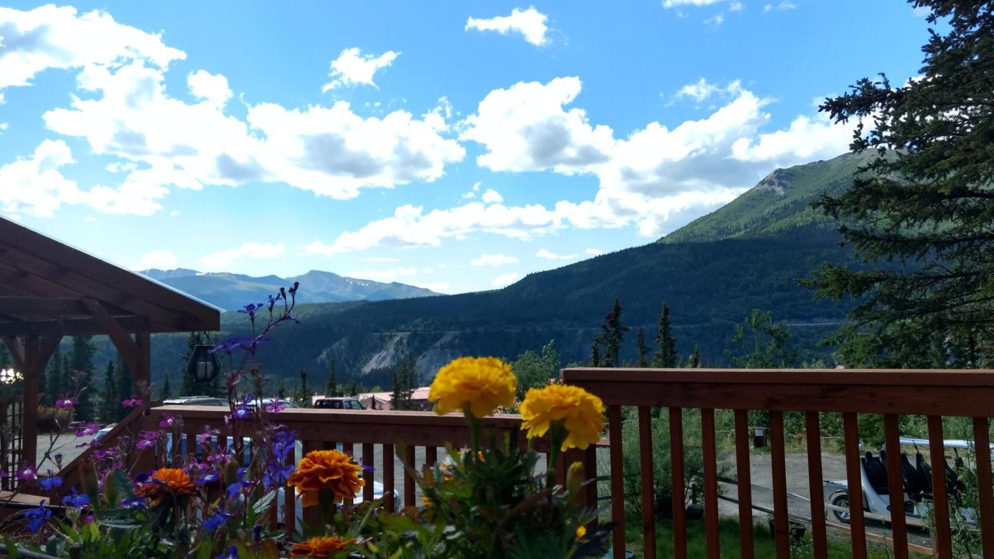 Denali Crow'S Nest Cabins Denali Park Esterno foto