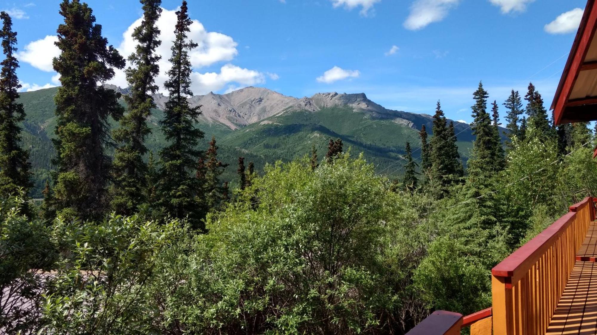 Denali Crow'S Nest Cabins Denali Park Esterno foto